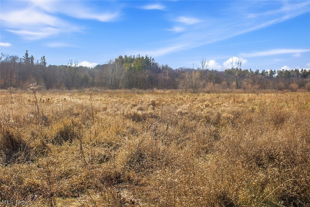 0 State Route 155 Se Property Photo 46