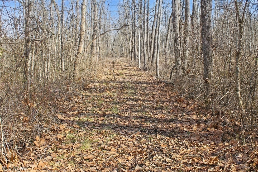0 State Route 155 Se Property Photo 47