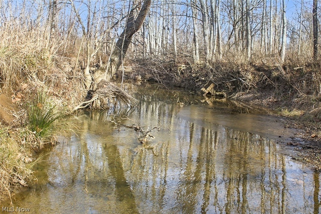 0 State Route 155 Se Property Photo 49