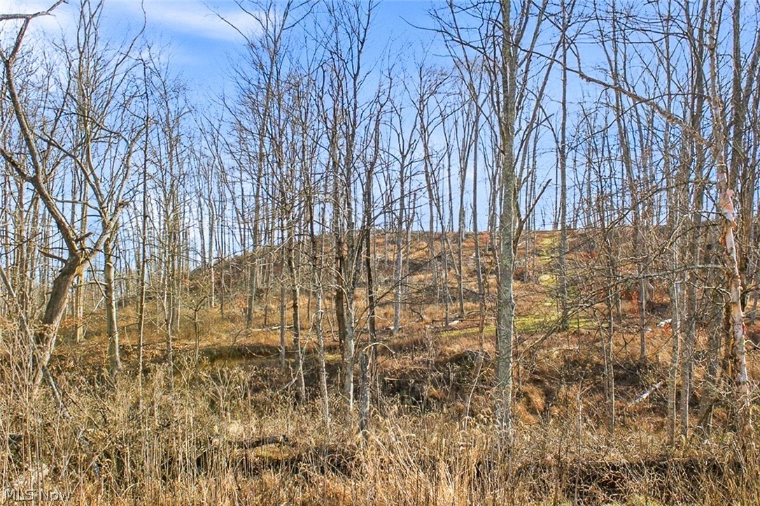 0 State Route 155 Se Property Photo 50