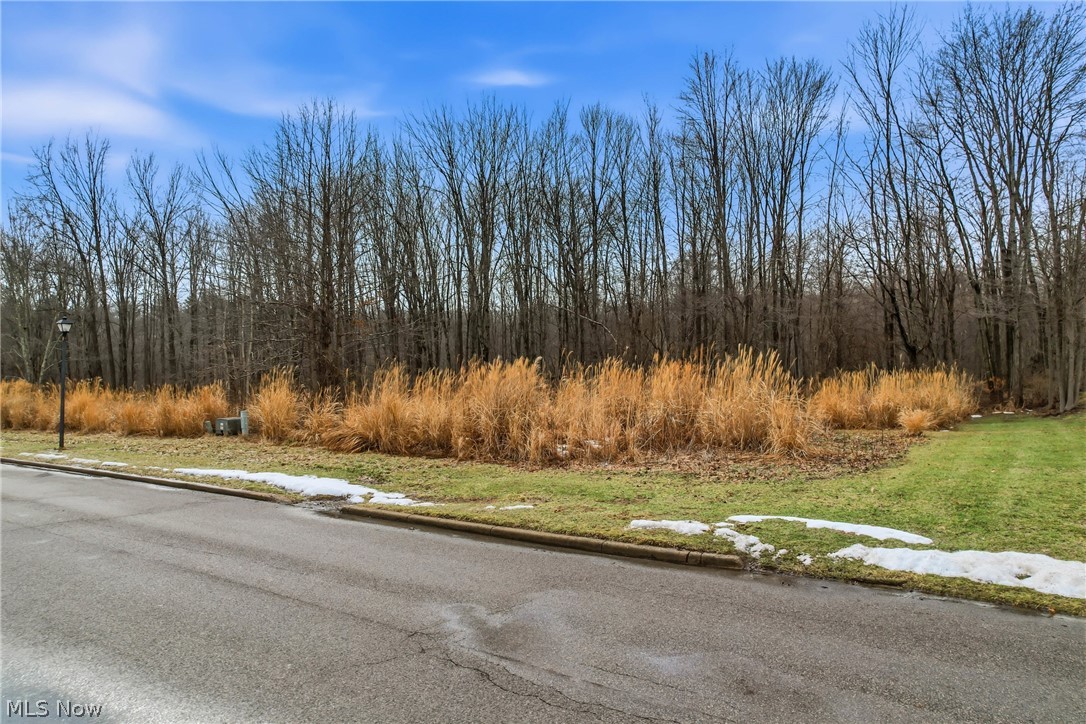 Lakeview Drive Property Photo 3