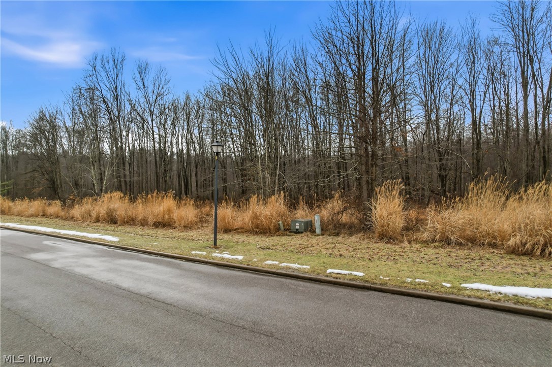Lakeview Drive Property Photo 4