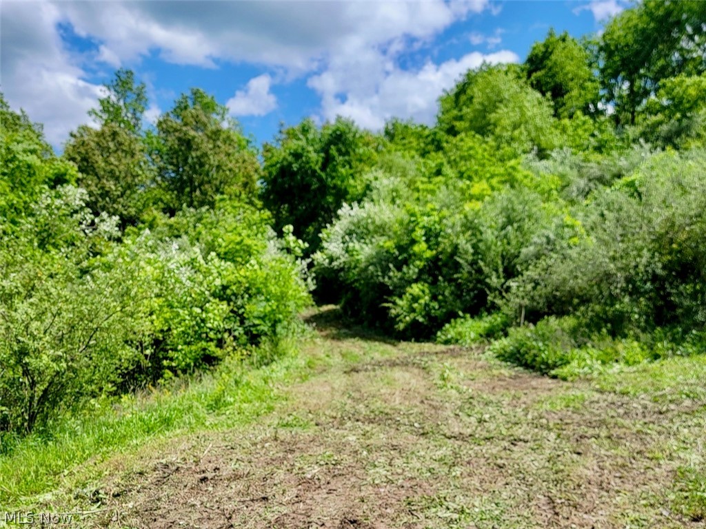 V/l Shephard Property Photo 4