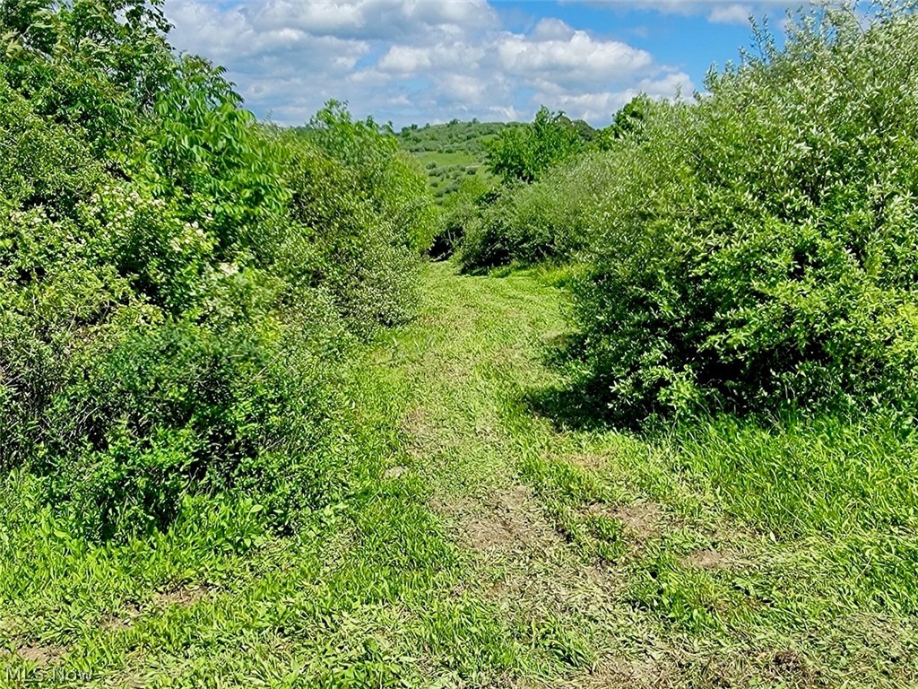 V/l Shephard Property Photo 6