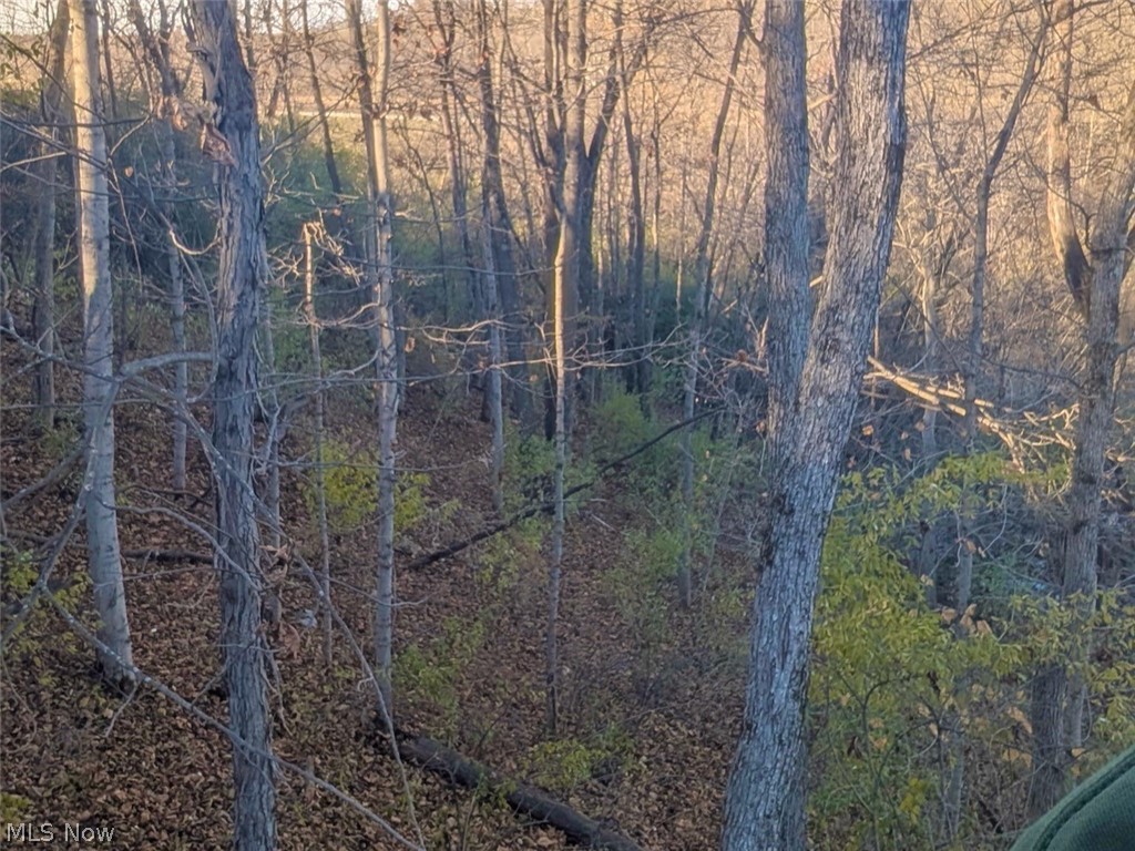 V/l Shephard Property Photo 8