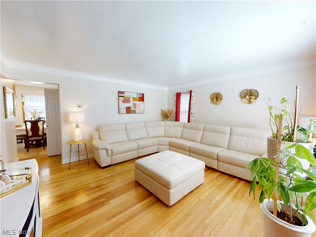 13504 Maple Leaf Drive Property Photo 6