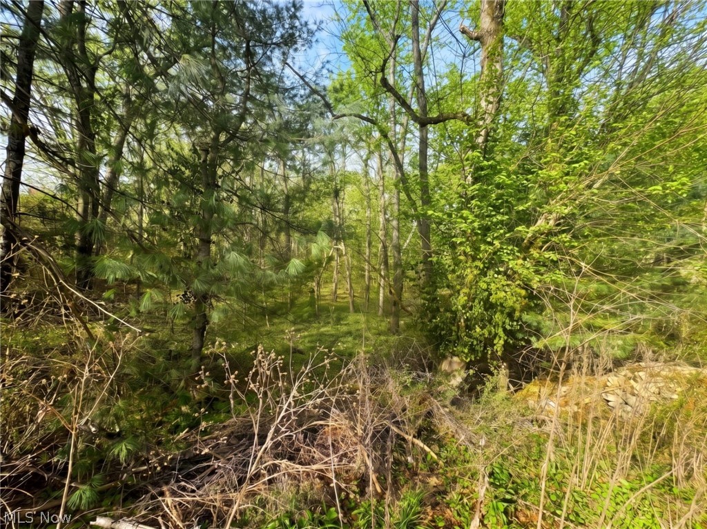 0 Bohl Drive Property Photo 2