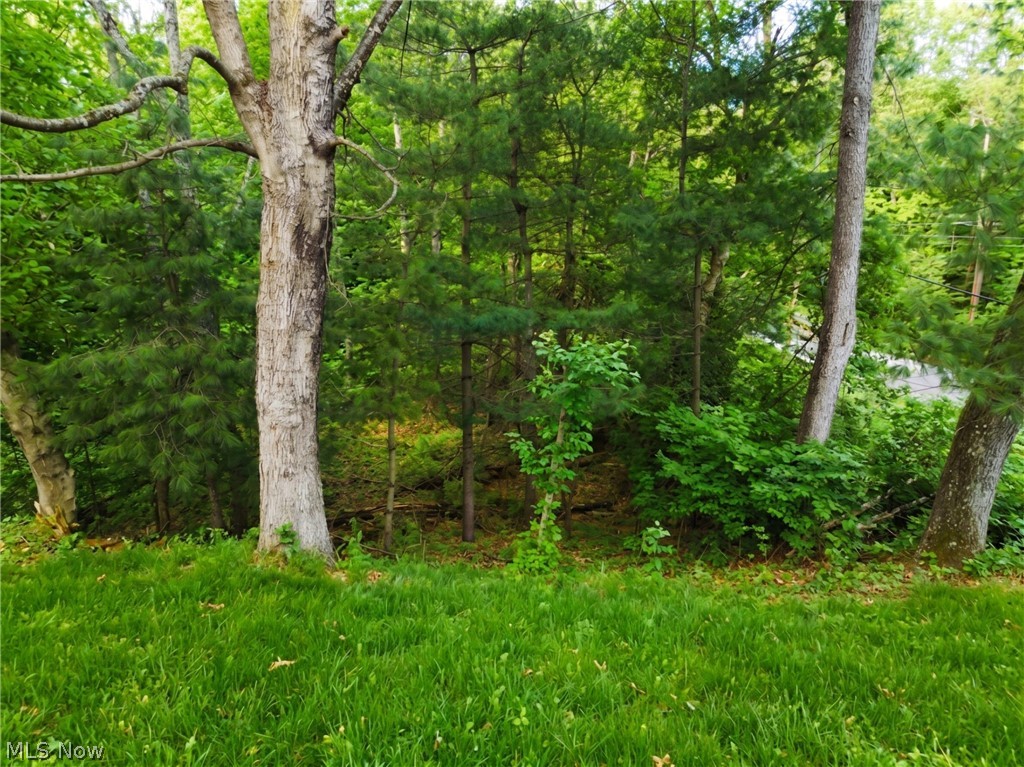 0 Bohl Drive Property Photo 3