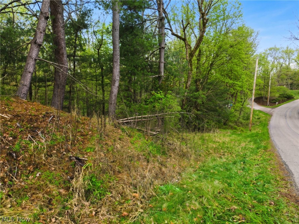 0 Bohl Drive Property Photo 4