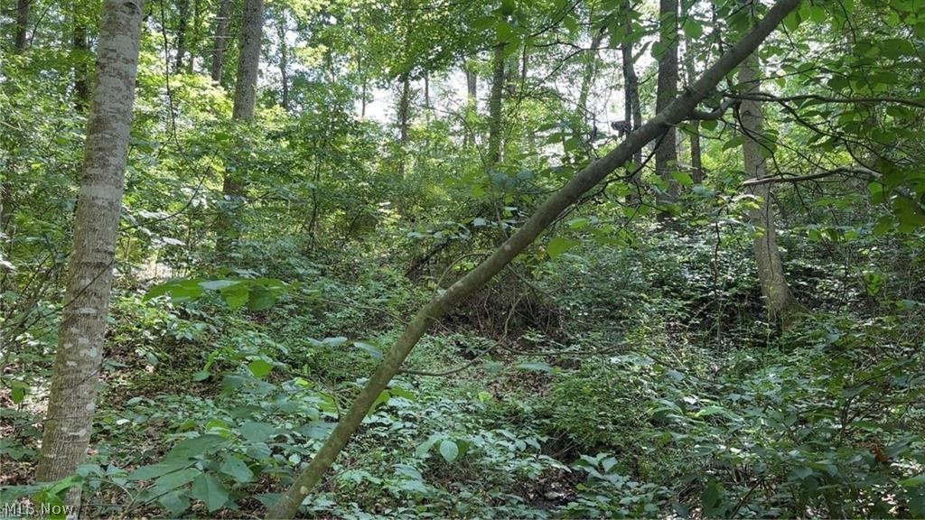 Point Lookout Road Property Photo 11
