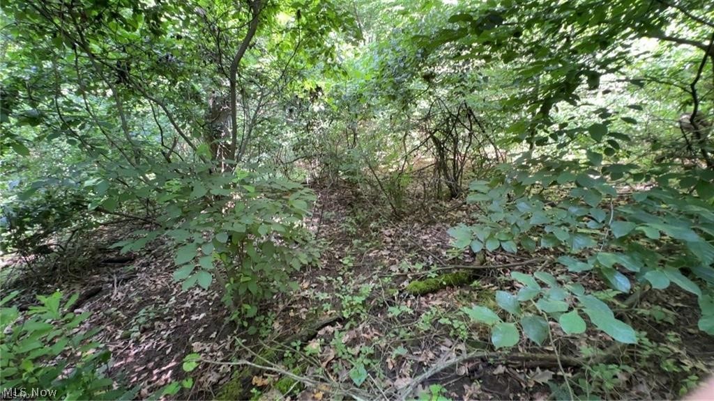 Point Lookout Road Property Photo 12
