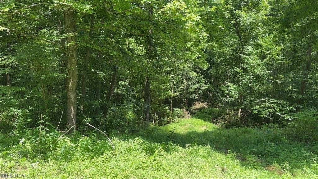 Point Lookout Road Property Photo 13