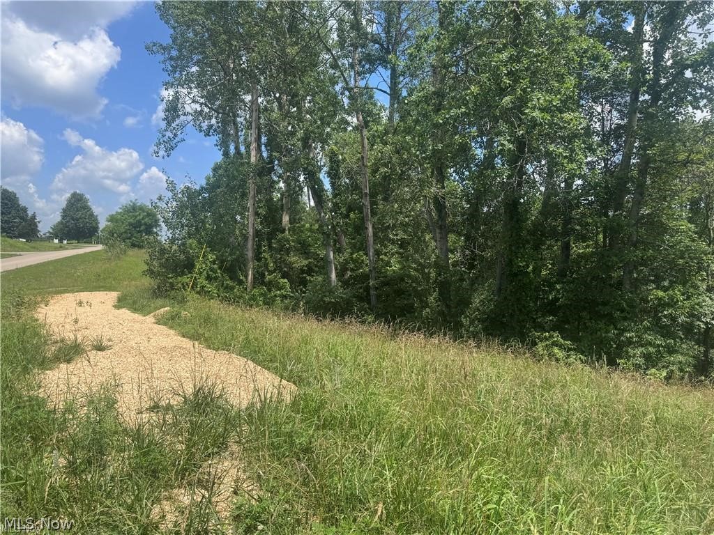 Point Lookout Road Property Photo 16
