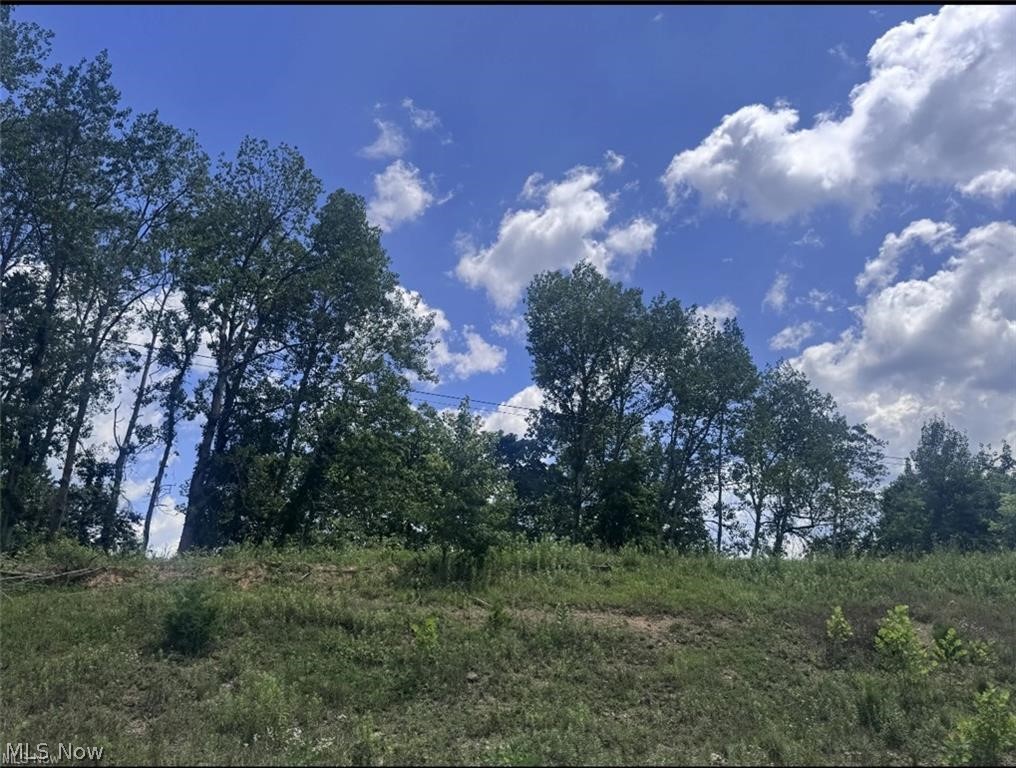 Point Lookout Road Property Photo 17