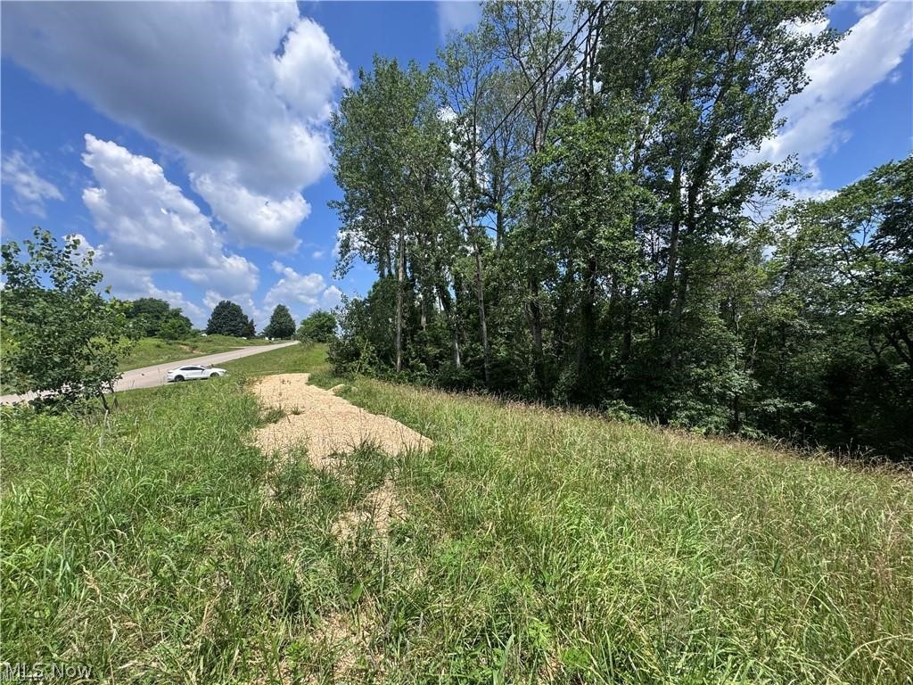 Point Lookout Road Property Photo 20
