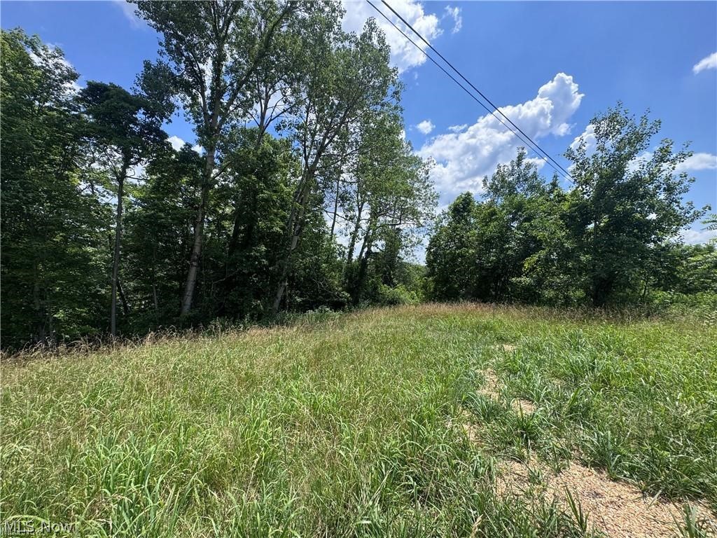 Point Lookout Road Property Photo 21
