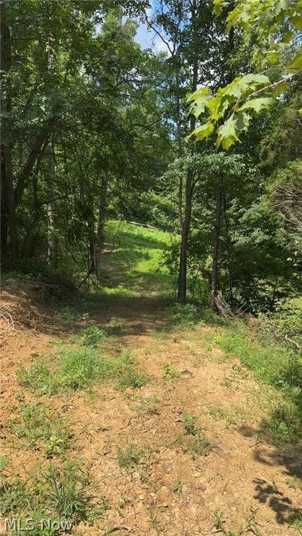Point Lookout Road Property Photo 22