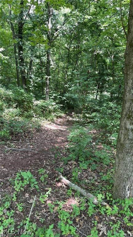 Point Lookout Road Property Photo 23