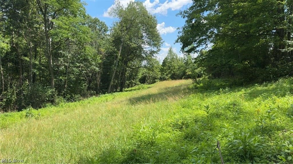 Point Lookout Road Property Photo 25