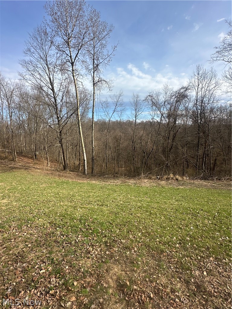 Point Lookout Road Property Photo 26
