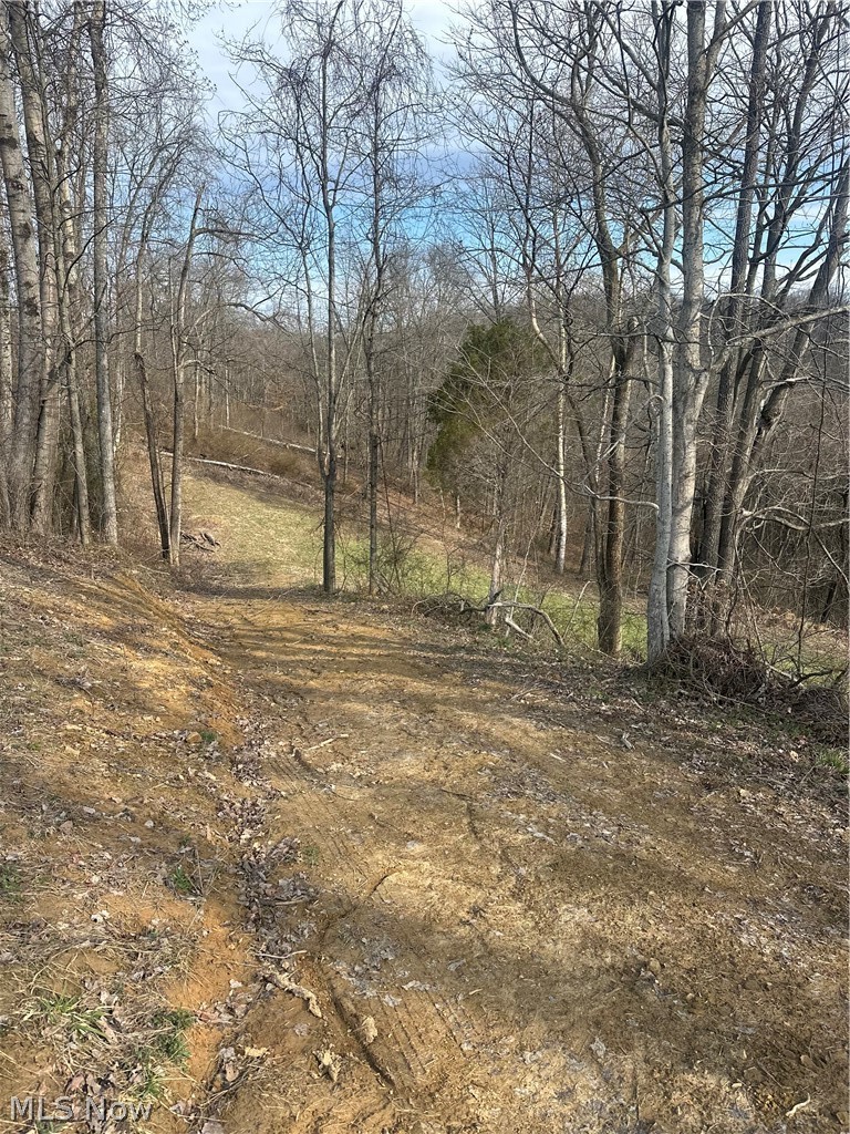 Point Lookout Road Property Photo 28