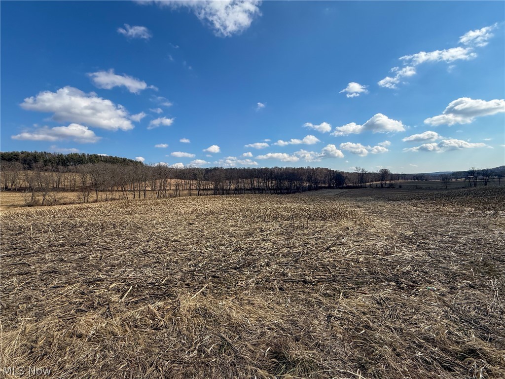 St Rt 603 Property Photo 8