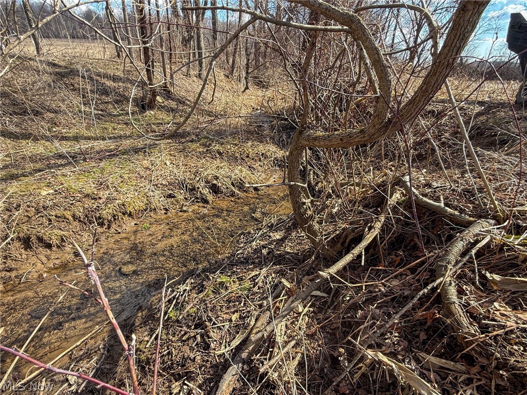 St Rt 603 Property Photo 15