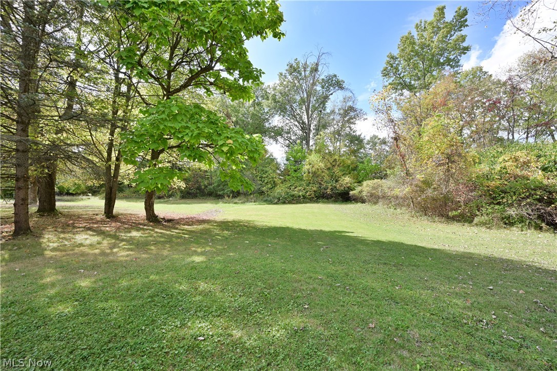 29 Carl Lane Property Photo 23