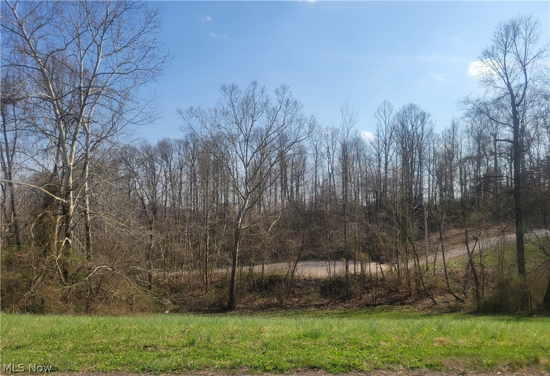 Spring Street Property Photo 2