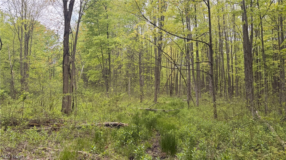 Munson Hill Road Property Photo 2