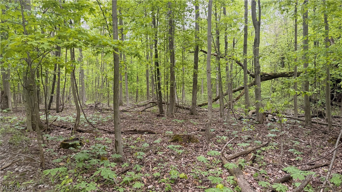 Munson Hill Road Property Photo 4