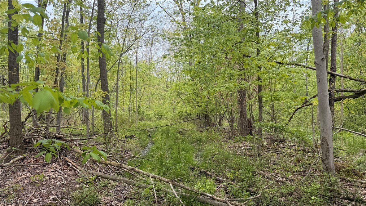 Munson Hill Road Property Photo 10