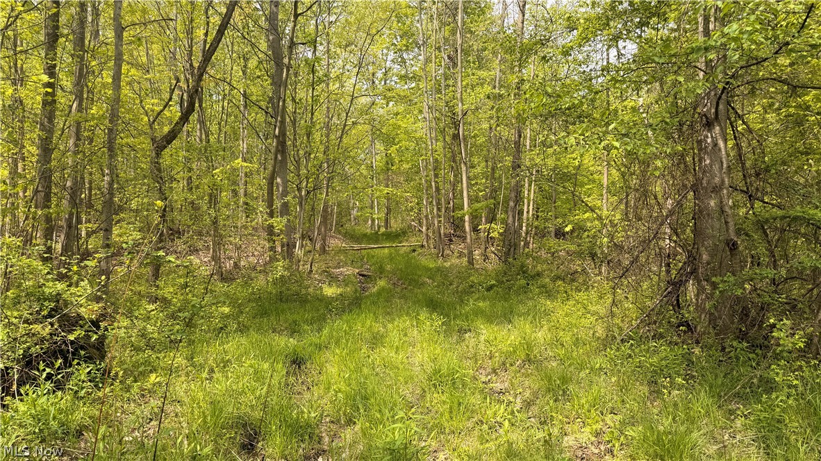 Munson Hill Road Property Photo 11