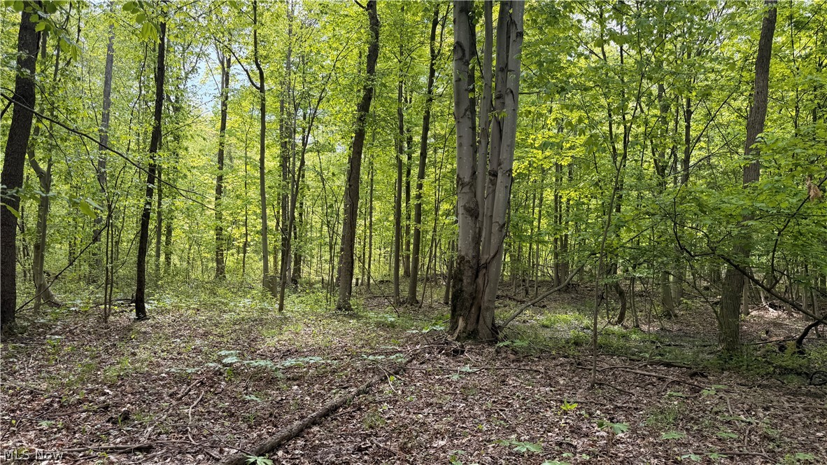 Munson Hill Road Property Photo 22