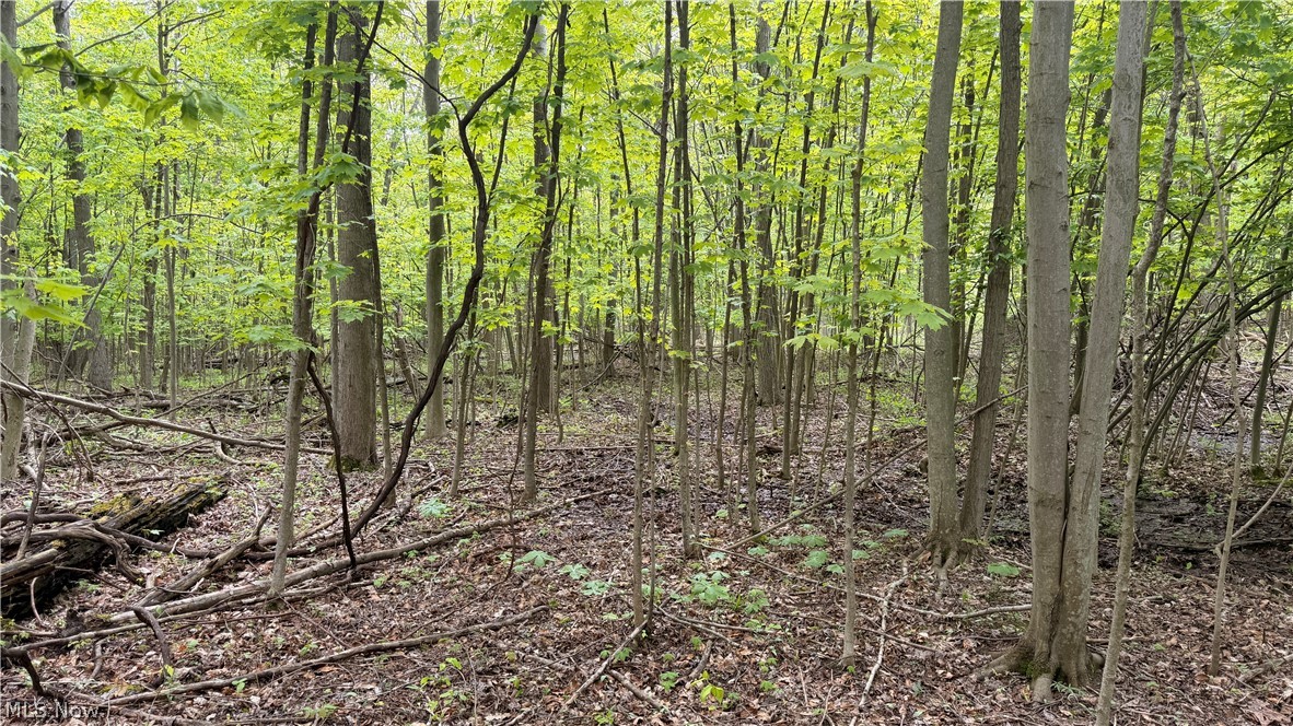Munson Hill Road Property Photo 26