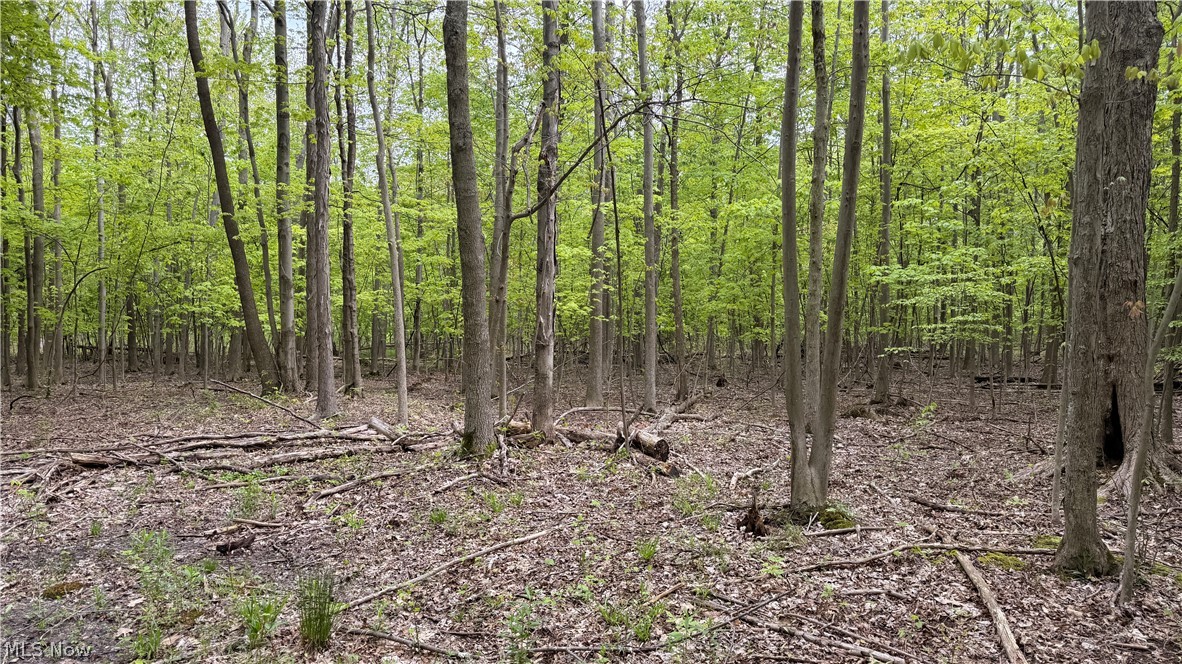 Munson Hill Road Property Photo 31