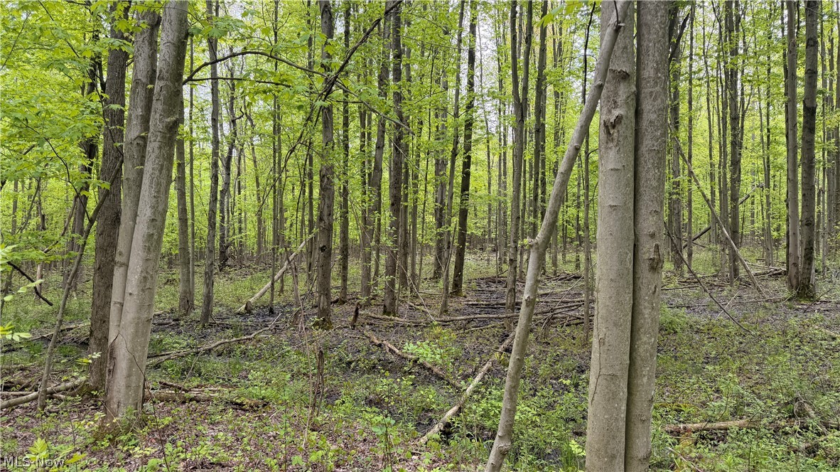 Munson Hill Road Property Photo 32