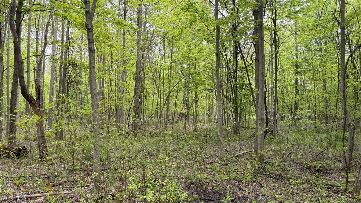 Munson Hill Road Property Photo 33