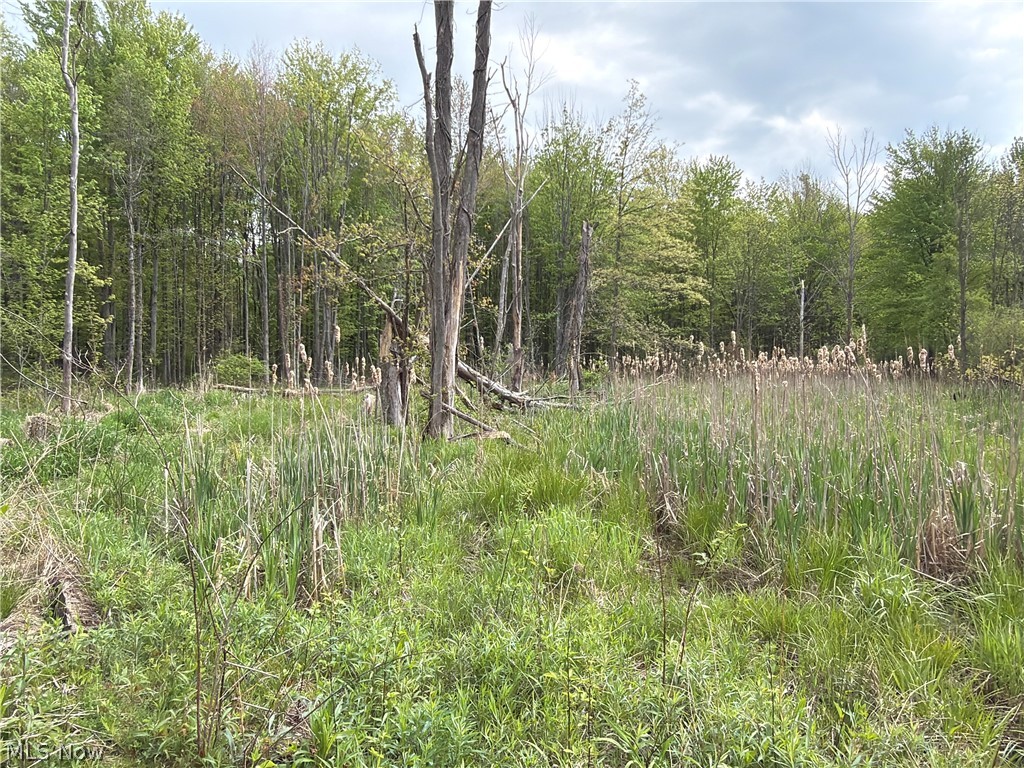 Munson Hill Road Property Photo 39