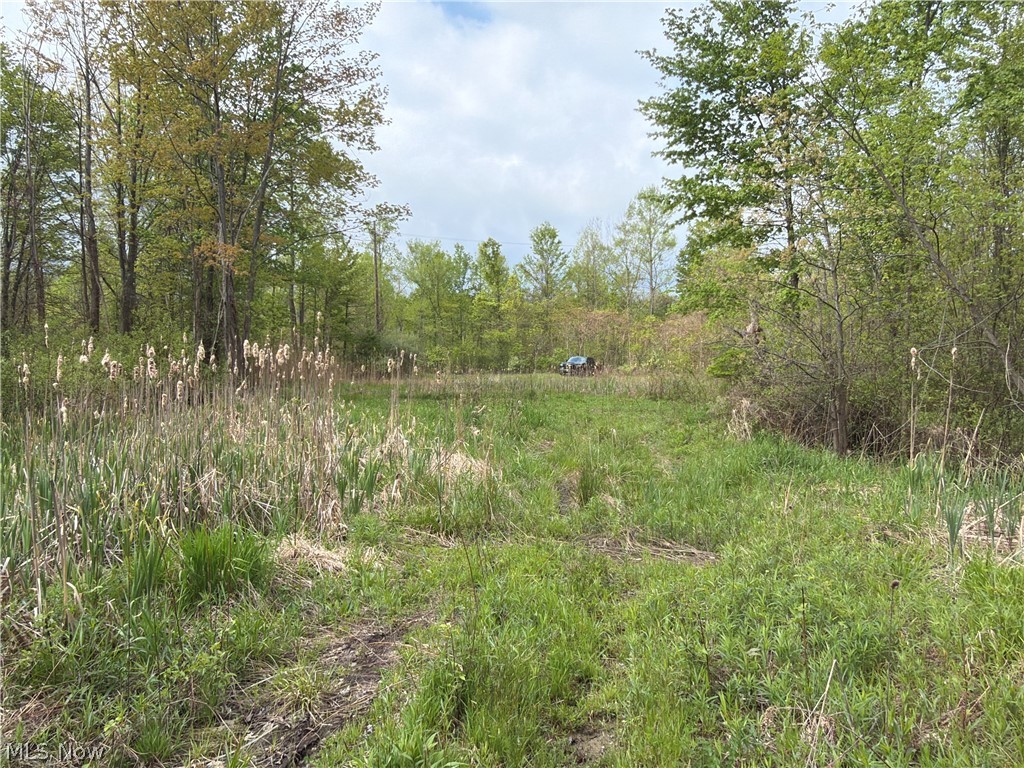 Munson Hill Road Property Photo 40