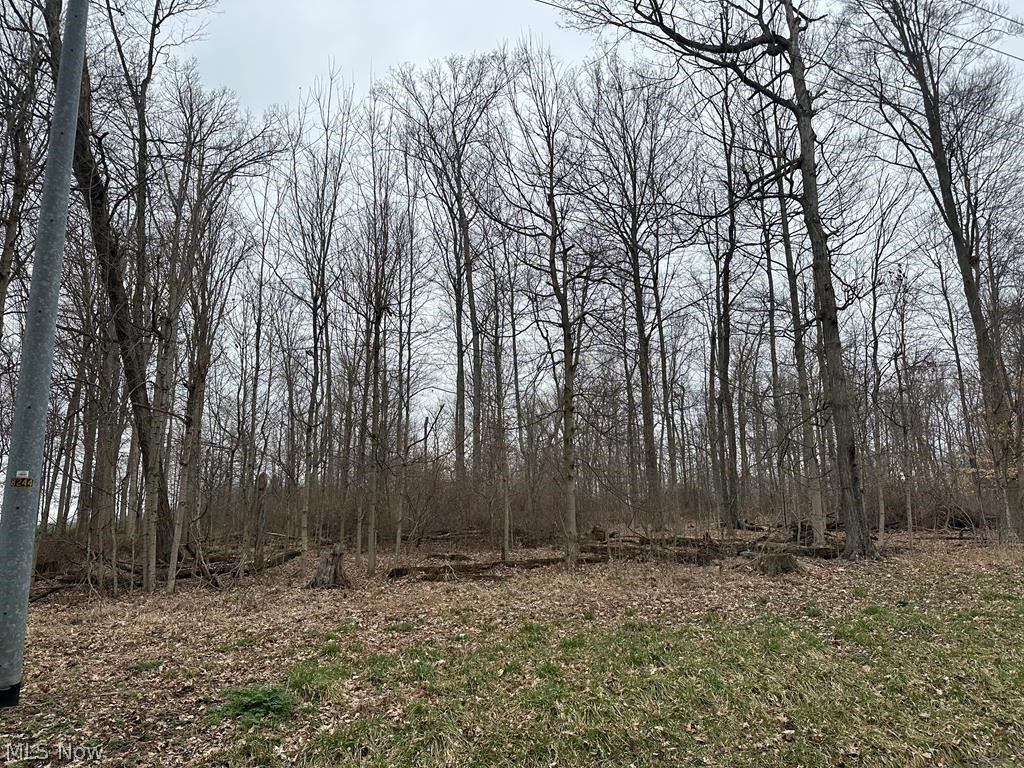 00 Grant Road Property Photo 1
