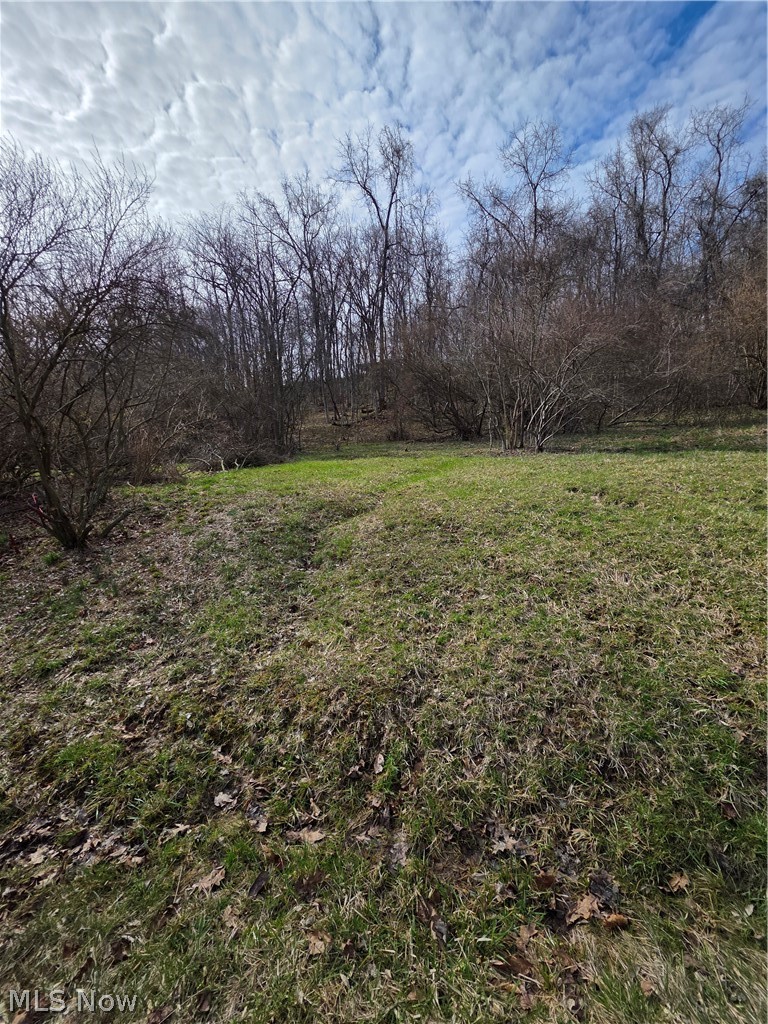 Iroquois Trail Property Photo 3
