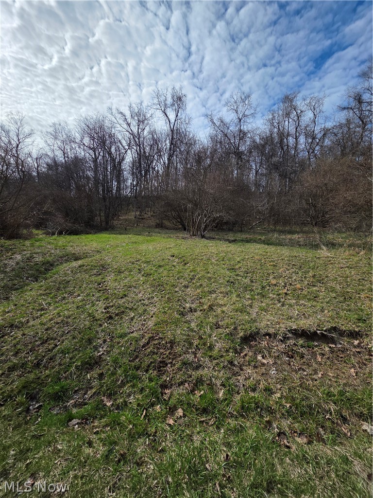 Iroquois Trail Property Photo 4