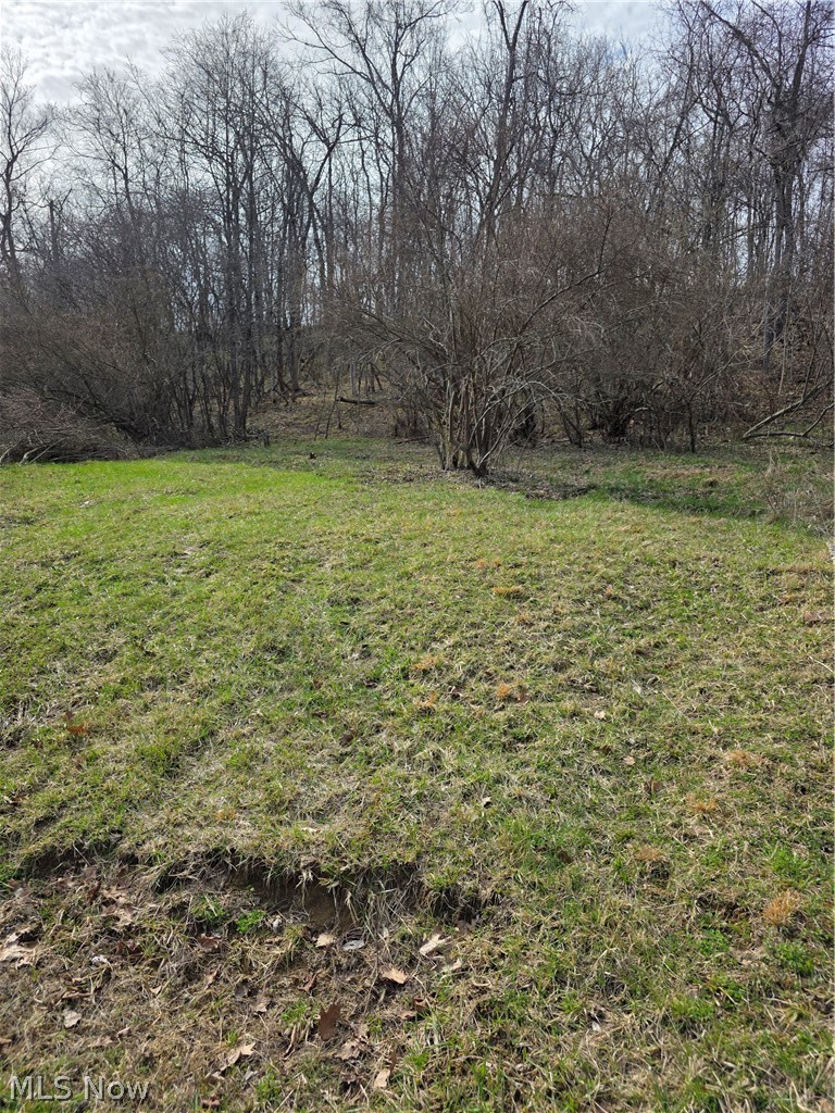 Iroquois Trail Property Photo 5
