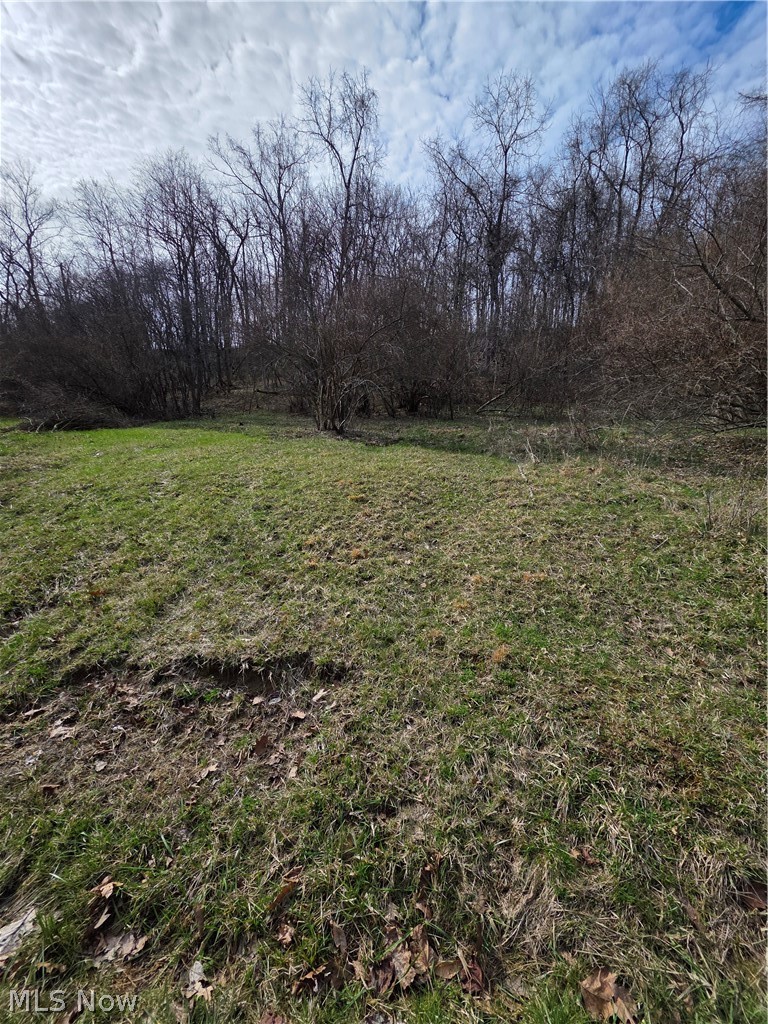 Iroquois Trail Property Photo 7