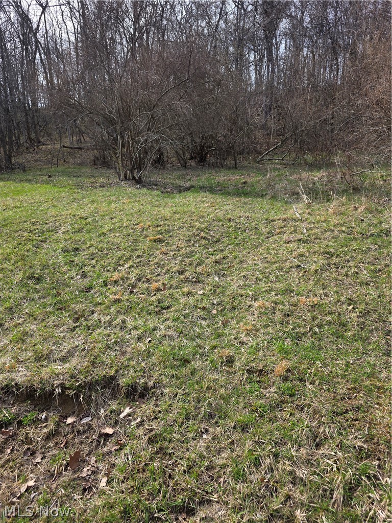 Iroquois Trail Property Photo 8