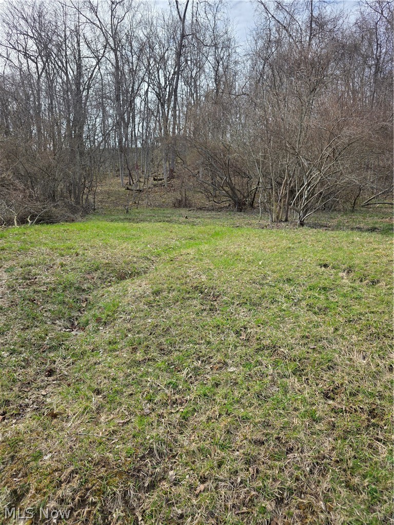 Iroquois Trail Property Photo 9