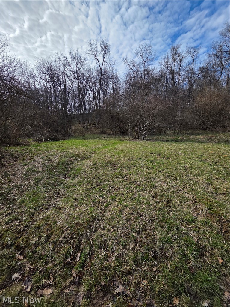 Iroquois Trail Property Photo 10