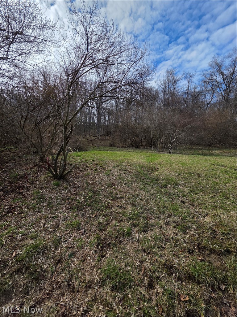 Iroquois Trail Property Photo 11