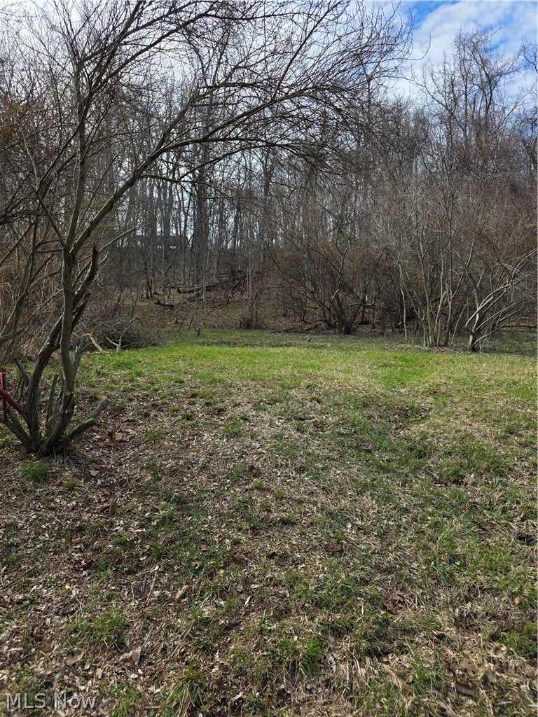 Iroquois Trail Property Photo 12